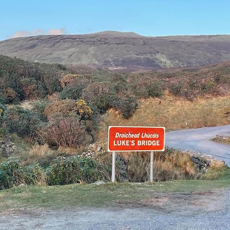 Grogagh Hill Cottage Sligo Exteriör bild